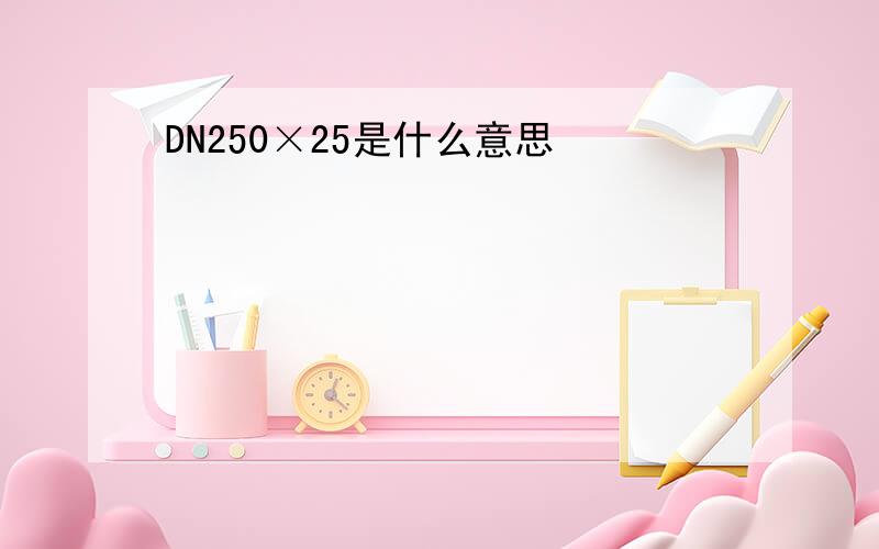 DN250×25是什么意思