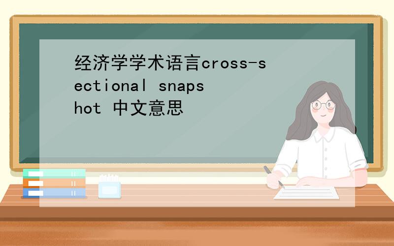 经济学学术语言cross-sectional snapshot 中文意思