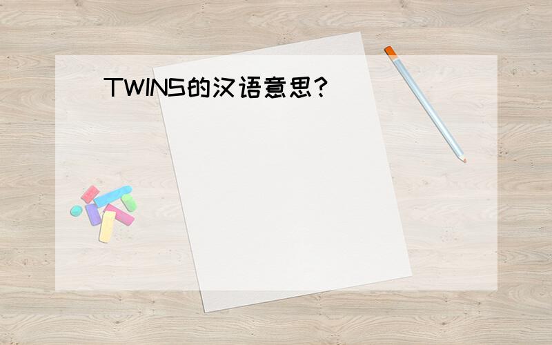 TWINS的汉语意思?