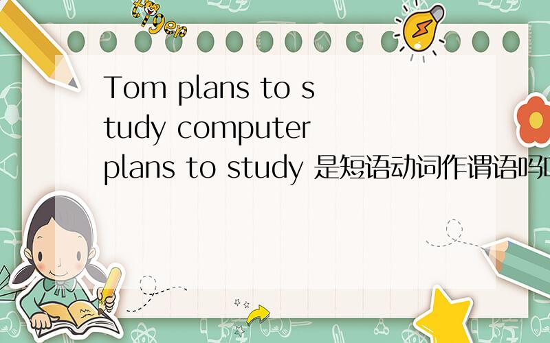 Tom plans to study computer plans to study 是短语动词作谓语吗吗?
