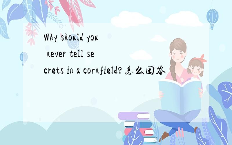 Why should you never tell secrets in a cornfield?怎么回答