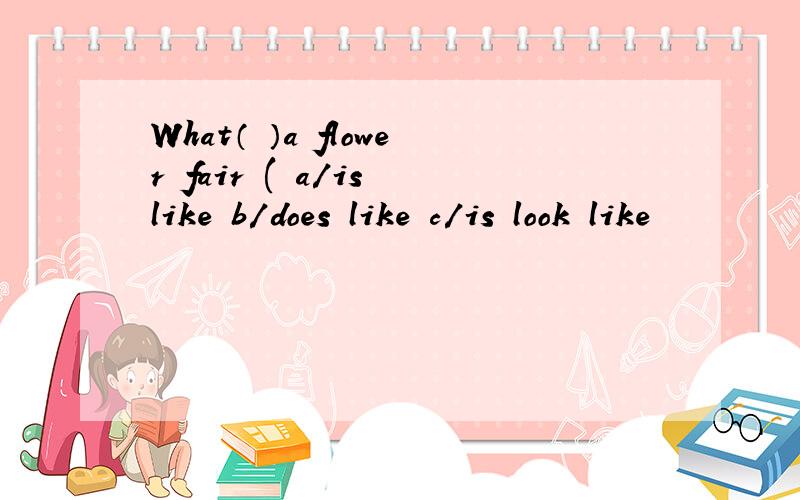 What（ ）a flower fair ( a/is like b/does like c/is look like