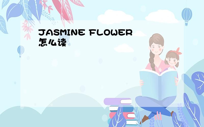 JASMINE FLOWER怎么读