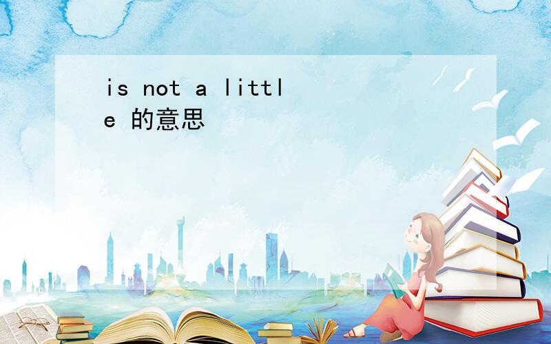 is not a little 的意思