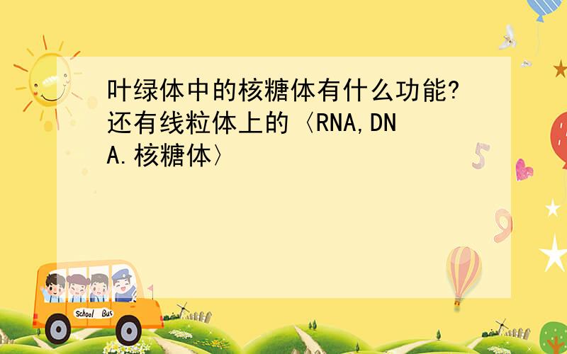 叶绿体中的核糖体有什么功能?还有线粒体上的〈RNA,DNA.核糖体〉