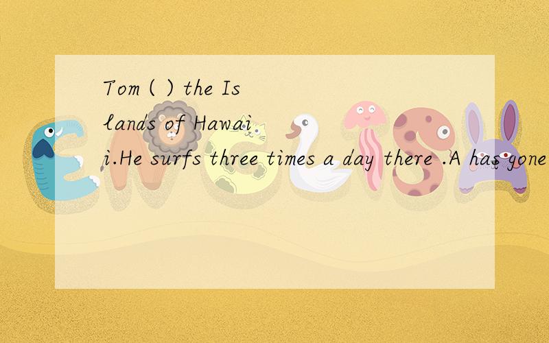 Tom ( ) the Islands of Hawaii.He surfs three times a day there .A has gone to B has gone on C has been for D has been