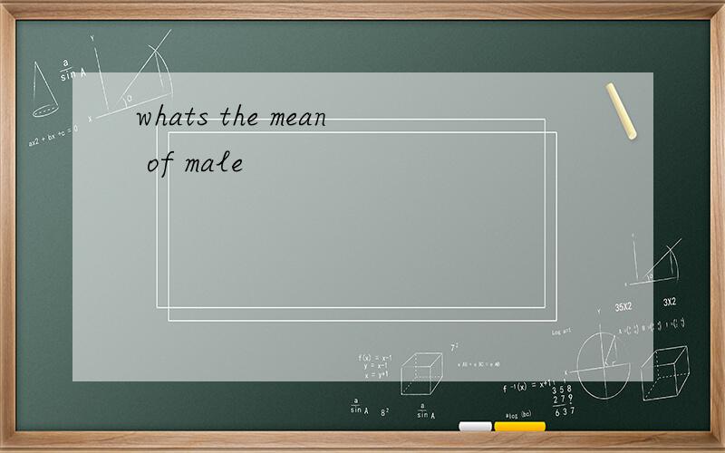whats the mean of male