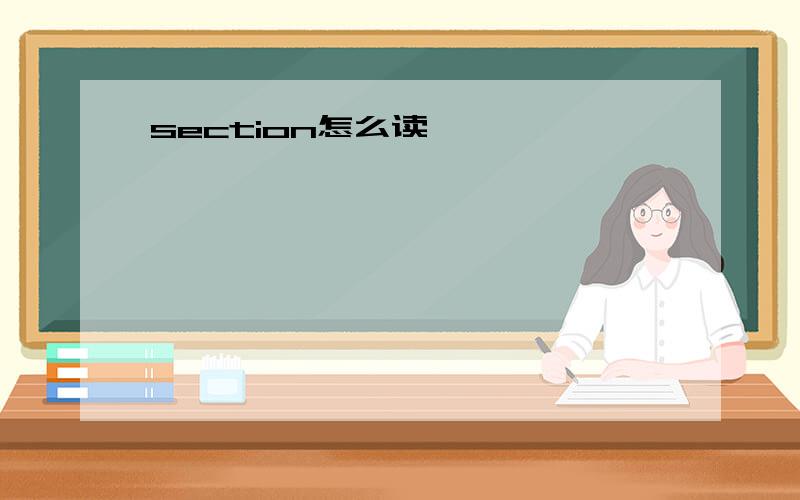 section怎么读