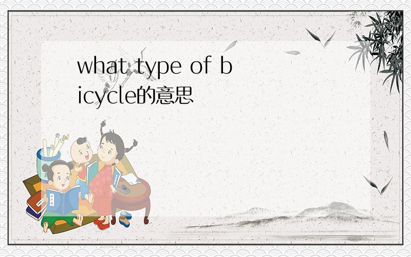 what type of bicycle的意思