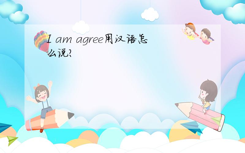 I am agree用汉语怎么说?