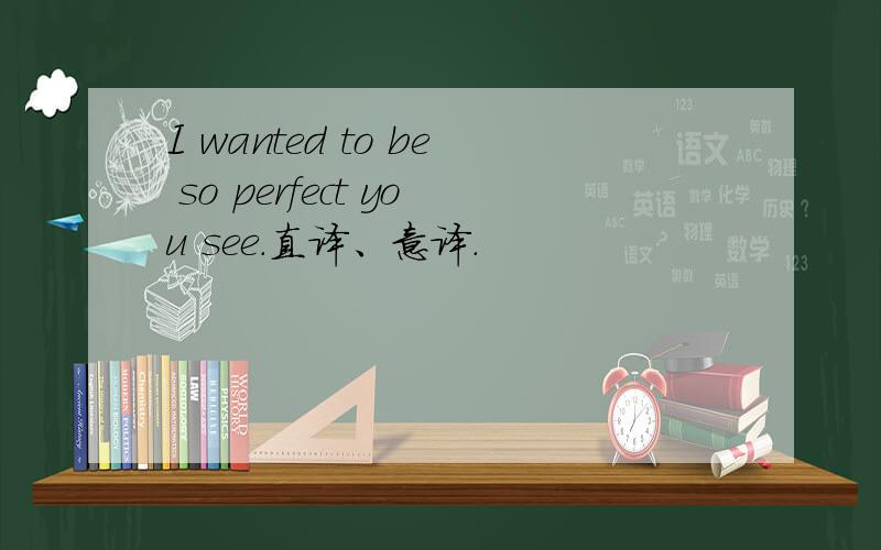 I wanted to be so perfect you see.直译、意译.