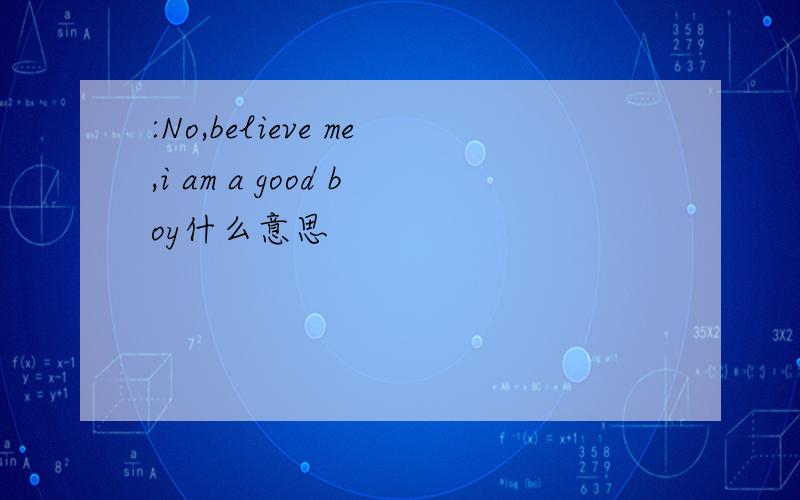 :No,believe me,i am a good boy什么意思