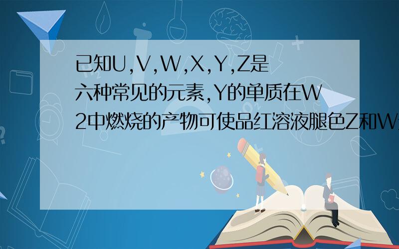 已知U,V,W,X,Y,Z是六种常见的元素,Y的单质在W2中燃烧的产物可使品红溶液腿色Z和W元素形成的化合物Z3W4具有磁性.U的单质在W2中燃烧可生成UW和UW2两种气体.X的单质是一种金属,该金属在UW2中剧烈