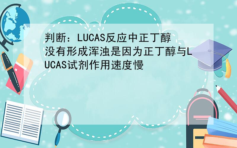 判断：LUCAS反应中正丁醇没有形成浑浊是因为正丁醇与LUCAS试剂作用速度慢