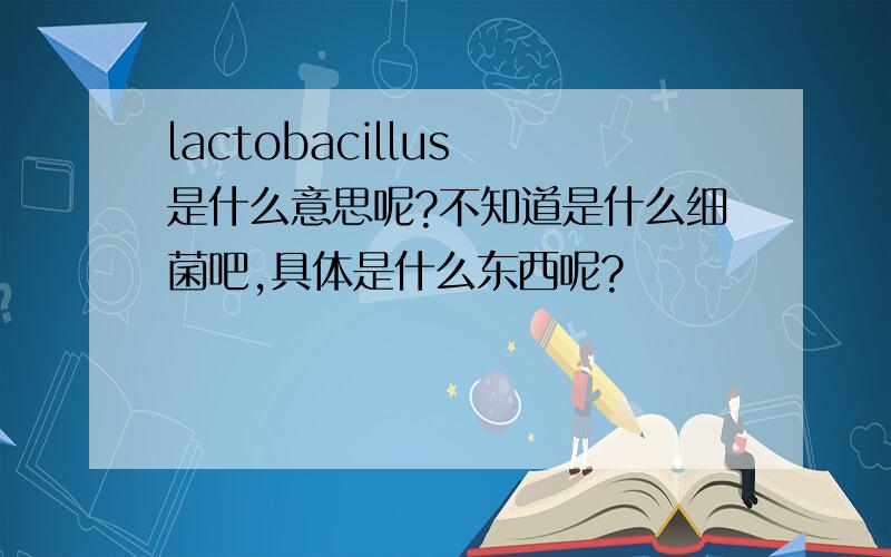 lactobacillus 是什么意思呢?不知道是什么细菌吧,具体是什么东西呢?