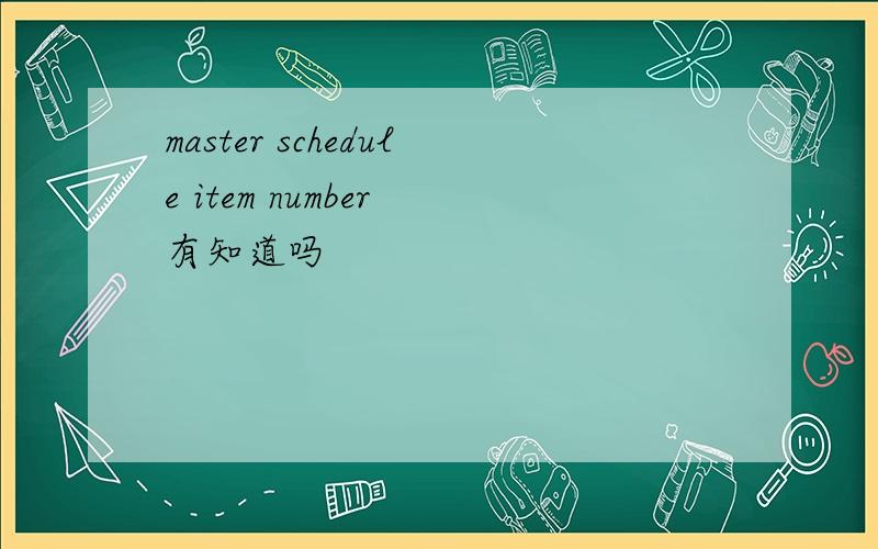 master schedule item number 有知道吗