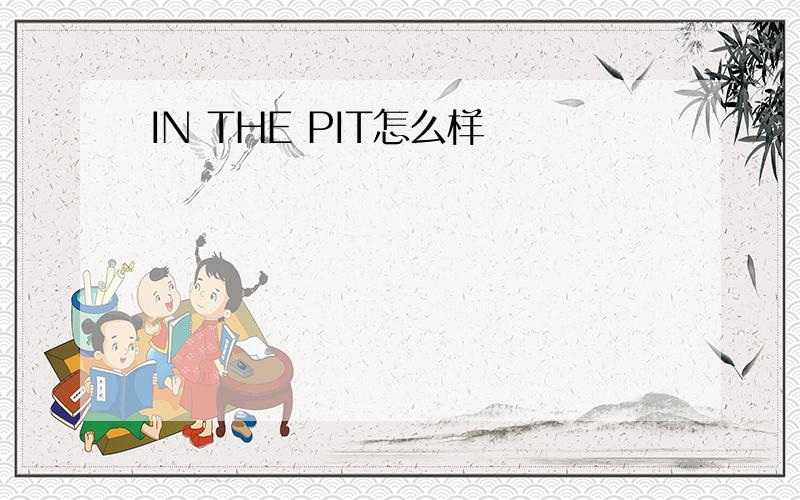 IN THE PIT怎么样