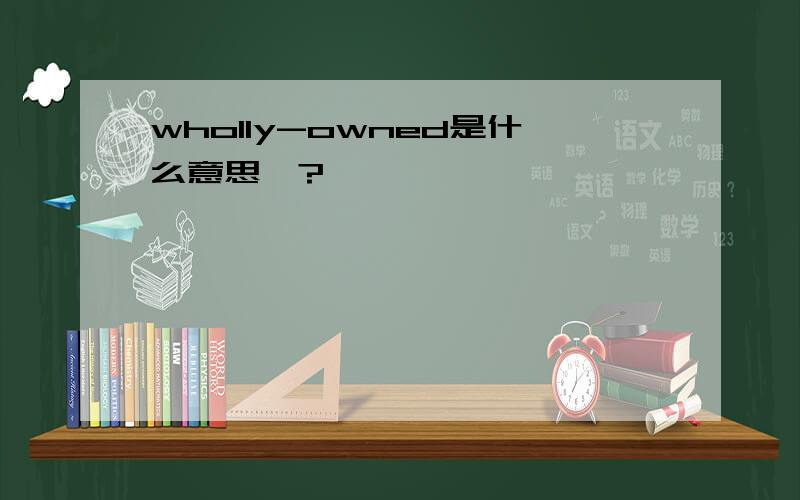 wholly-owned是什么意思