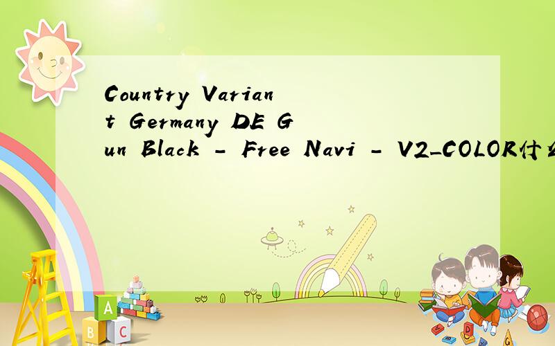Country Variant Germany DE Gun Black - Free Navi - V2_COLOR什么意思?