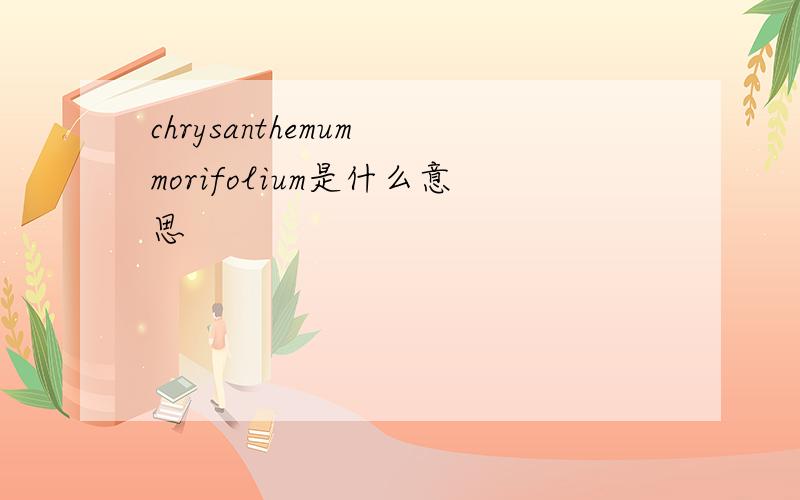 chrysanthemum morifolium是什么意思