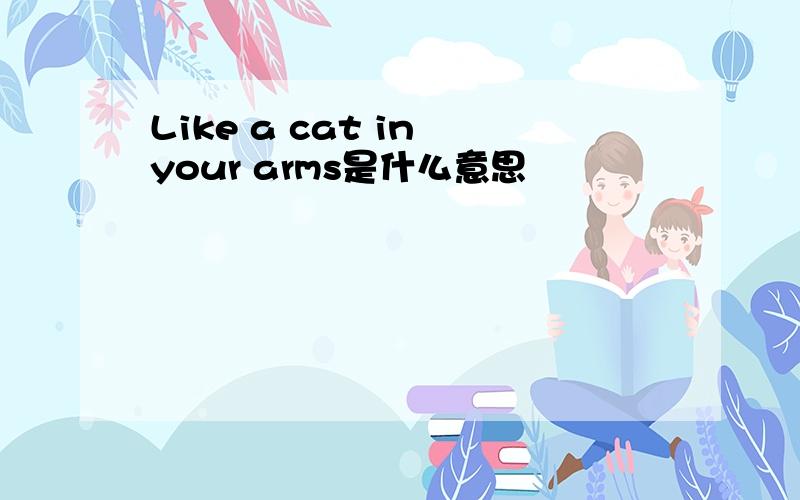 Like a cat in your arms是什么意思