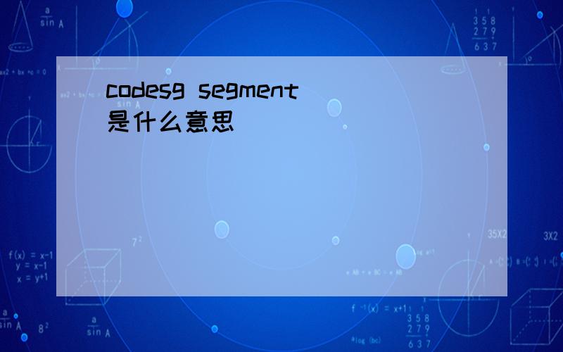 codesg segment是什么意思