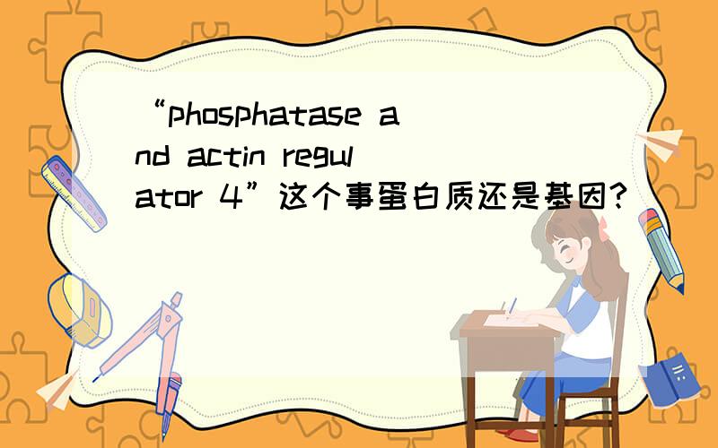 “phosphatase and actin regulator 4”这个事蛋白质还是基因?