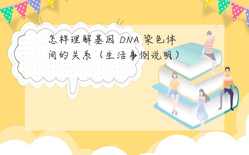 怎样理解基因 DNA 染色体间的关系（生活事例说明）