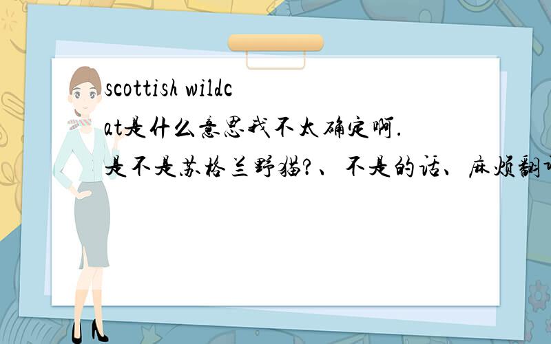 scottish wildcat是什么意思我不太确定啊.是不是苏格兰野猫?、不是的话、麻烦翻译下、谢谢咯!