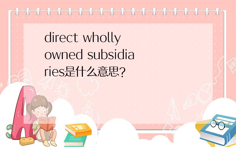 direct wholly owned subsidiaries是什么意思?