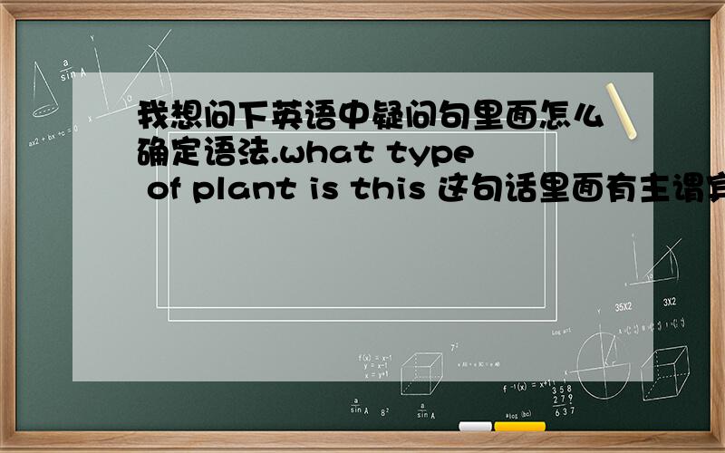 我想问下英语中疑问句里面怎么确定语法.what type of plant is this 这句话里面有主谓宾什么的吗?