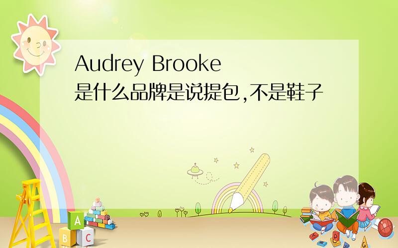 Audrey Brooke 是什么品牌是说提包,不是鞋子