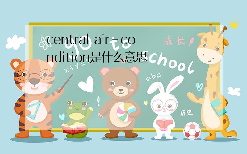 central air-condition是什么意思