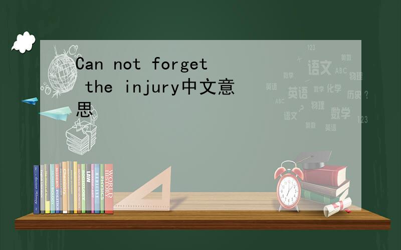 Can not forget the injury中文意思