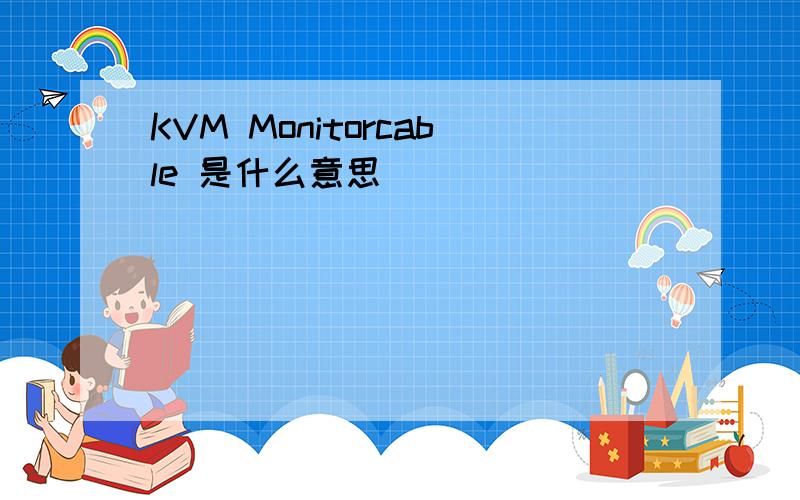 KVM Monitorcable 是什么意思