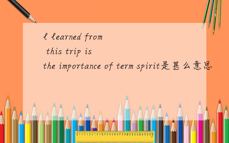 l learned from this trip is the importance of term spirit是甚么意思