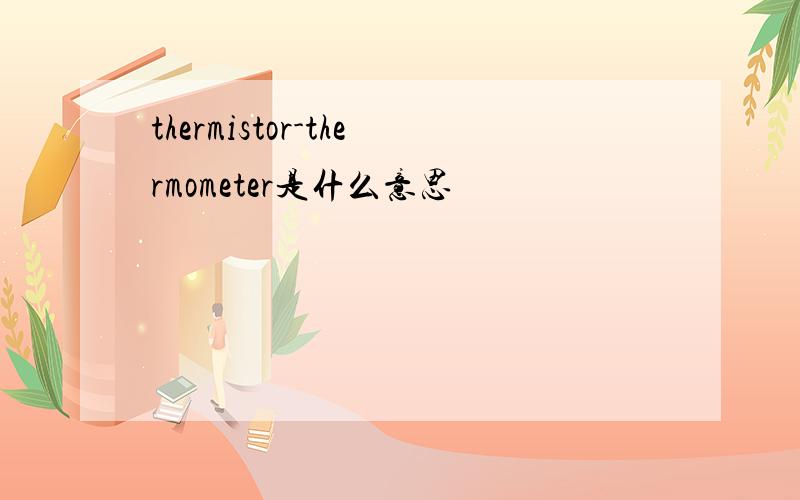 thermistor-thermometer是什么意思