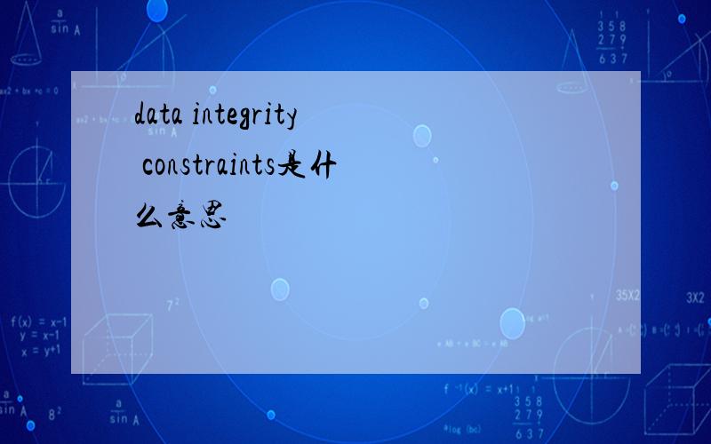 data integrity constraints是什么意思