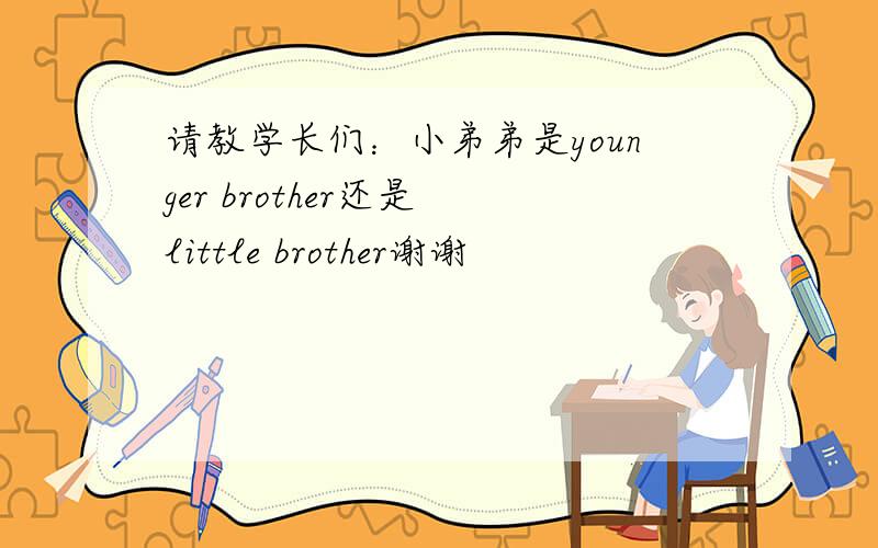 请教学长们：小弟弟是younger brother还是 little brother谢谢