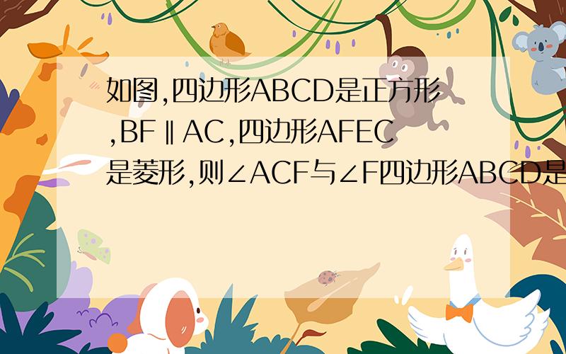 如图,四边形ABCD是正方形,BF‖AC,四边形AFEC是菱形,则∠ACF与∠F四边形ABCD是正方形,BF‖AC,四边形AFEC是菱形,则∠ACF与∠F的度数比是？