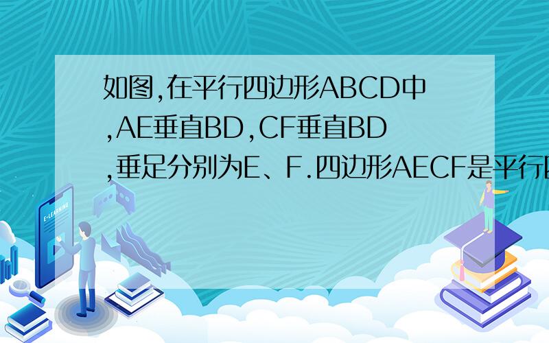 如图,在平行四边形ABCD中,AE垂直BD,CF垂直BD,垂足分别为E、F.四边形AECF是平行四边形吗?为什么?