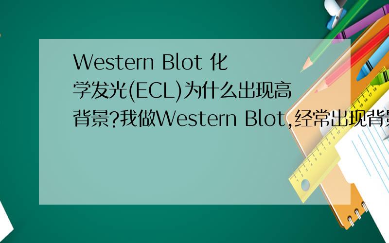 Western Blot 化学发光(ECL)为什么出现高背景?我做Western Blot,经常出现背景很多的现象,