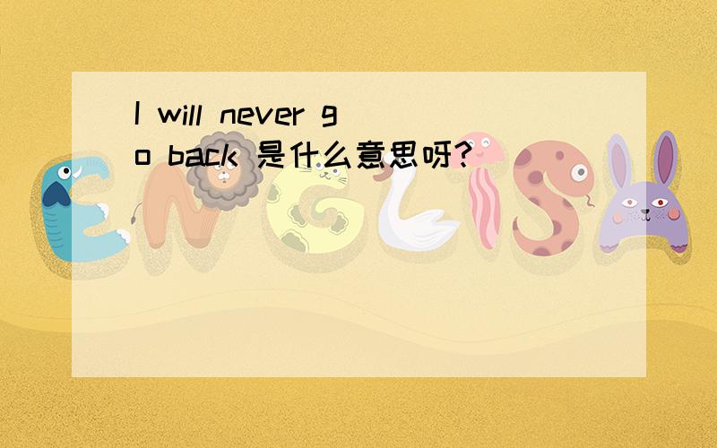 I will never go back 是什么意思呀?