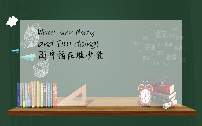 What are Mary and Tim doing?图片指在堆沙堡