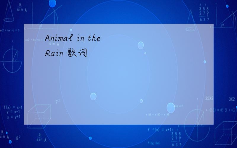 Animal in the Rain 歌词