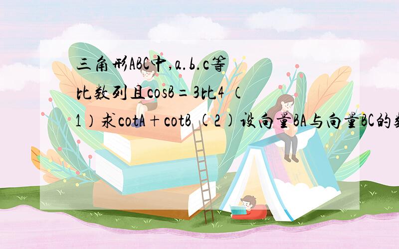 三角形ABC中,a.b.c等比数列且cosB=3比4 （1）求cotA+cotB (2)设向量BA与向量BC的数量积=3比2,求a+c的值