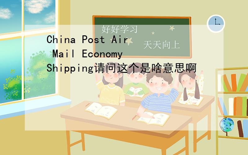 China Post Air Mail Economy Shipping请问这个是啥意思啊