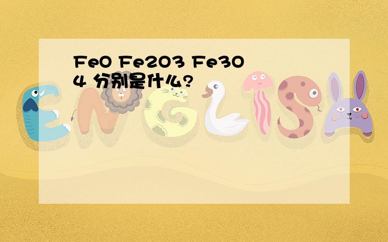 FeO Fe2O3 Fe3O4 分别是什么?