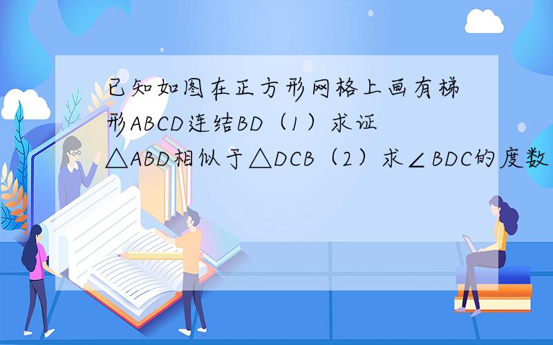 已知如图在正方形网格上画有梯形ABCD连结BD（1）求证△ABD相似于△DCB（2）求∠BDC的度数
