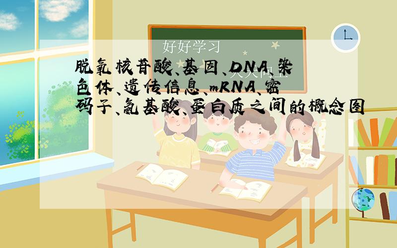 脱氧核苷酸、基因、DNA、染色体、遗传信息、mRNA、密码子、氨基酸、蛋白质之间的概念图